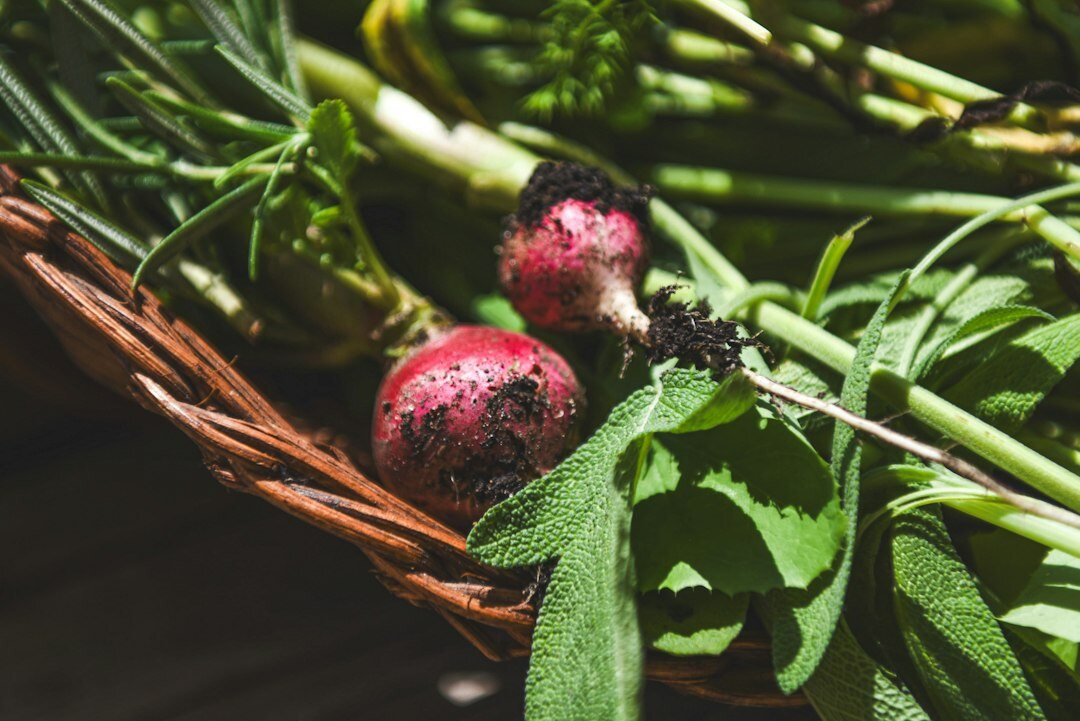 Fresh spring vegetables and herbs in a wooden crate